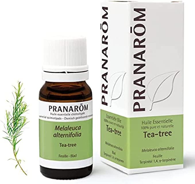 Aceite árbol del té. Aceites esenciales y sus propiedades. Los mejores podcasts online y talleres para gestionar las emociones.