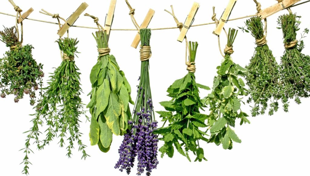 Blog sobre infusiones, tés, tisanas y sus propiedades. Los mejores podcasts.